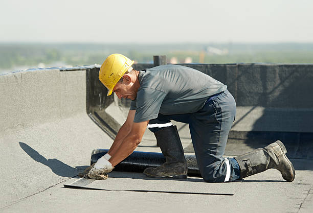 Best Energy-efficient Insulation  in Blanco, TX