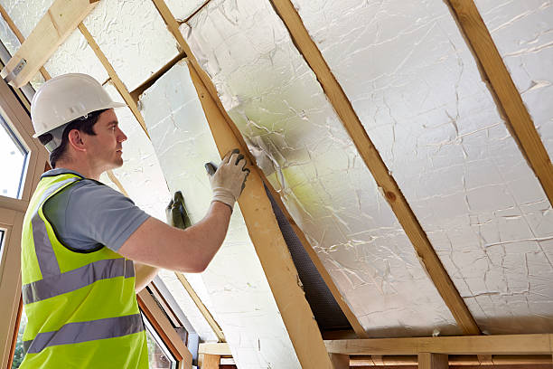 Insulation Repair Services in Blanco, TX