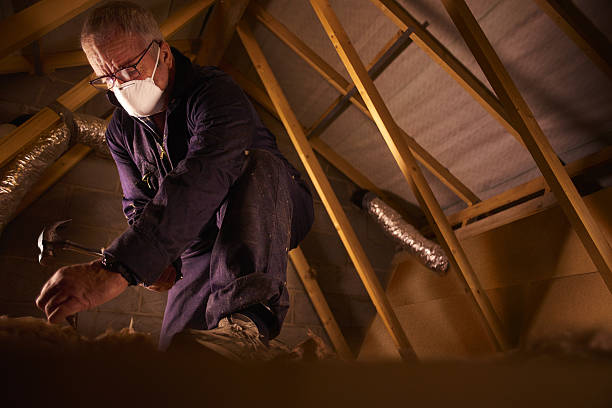 Best Crawl Space Insulation  in Blanco, TX
